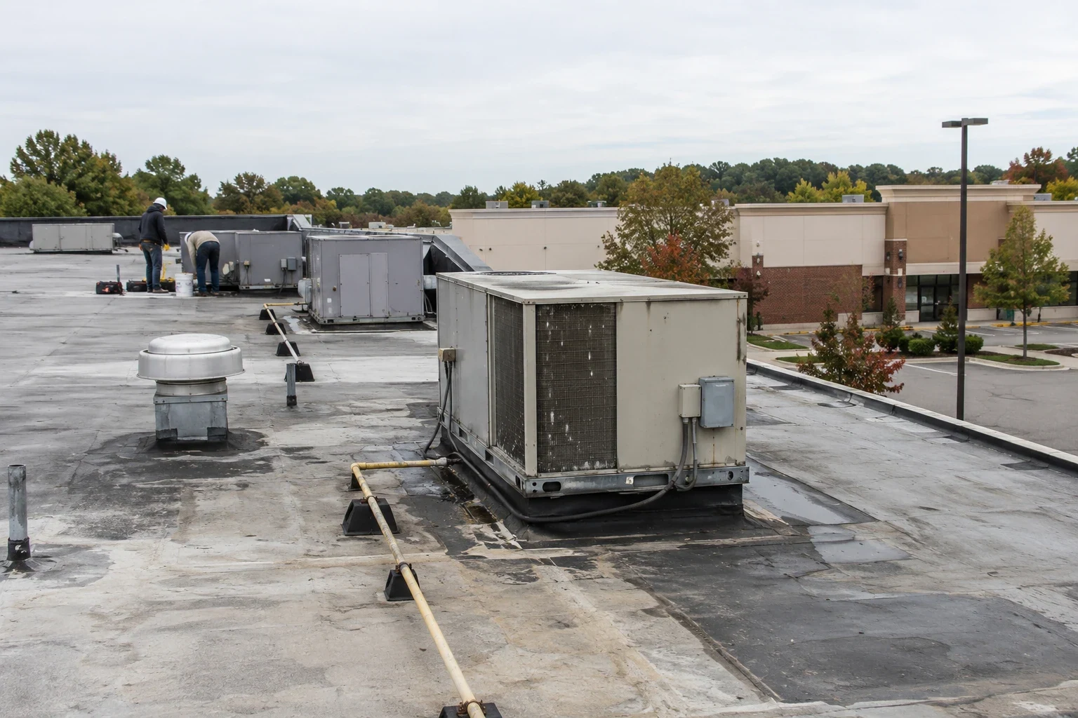 Roofing for Multi-Location Retail and Restaurant Brands in Missoula, MT