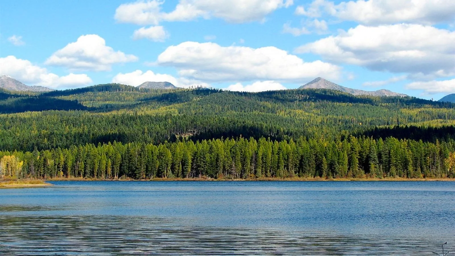 Commercial Roofing in Seeley Lake, MT