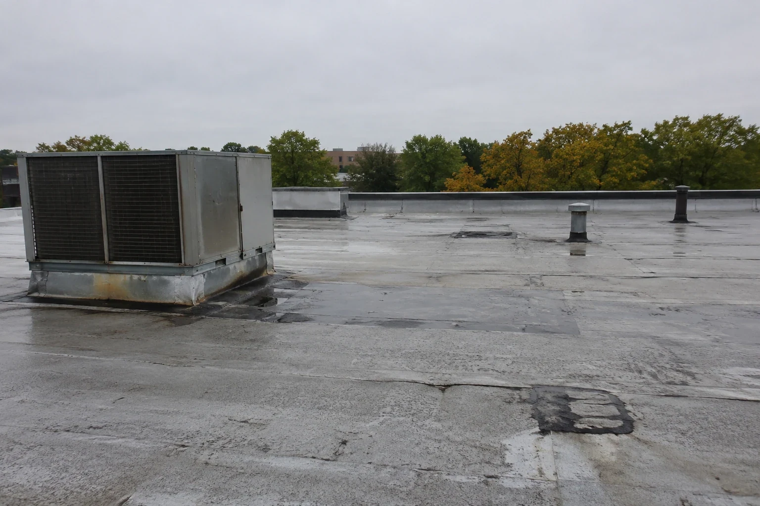 Roof Insurance Claim Assistance in Missoula, MT